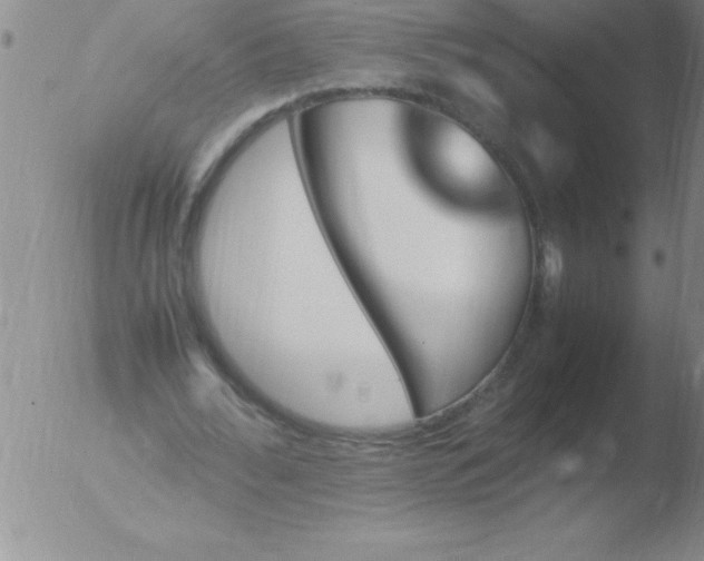 X0000051910676200507082030