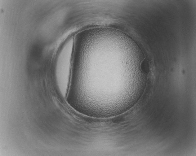 X0000051910679200507082030