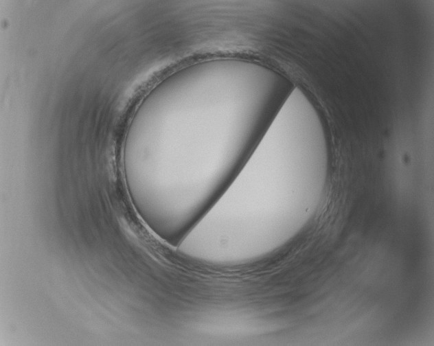 X0000051910680200507082030