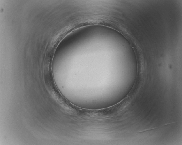 X0000051910681200507082030