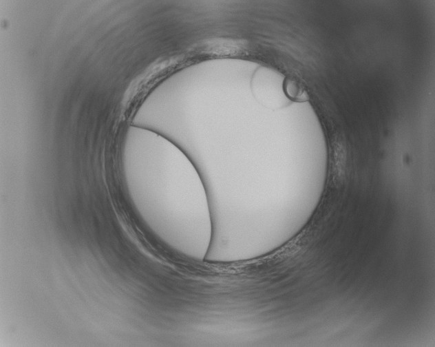 X0000051910682200507082030