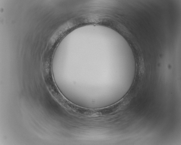 X0000051910683200507082030