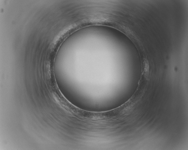 X0000051910684200507082030