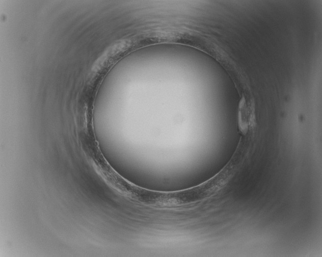 X0000051910685200507082030