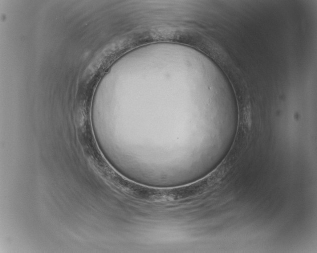 X0000051910687200507082030