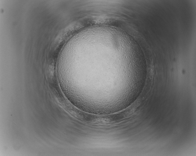 X0000051910691200507082030