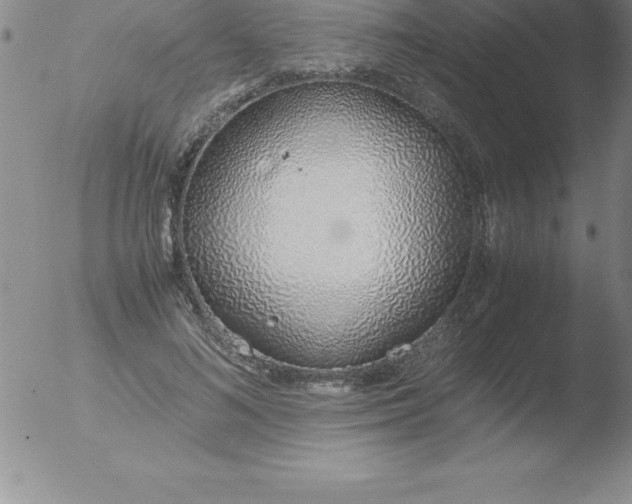 X0000051910692200507082030