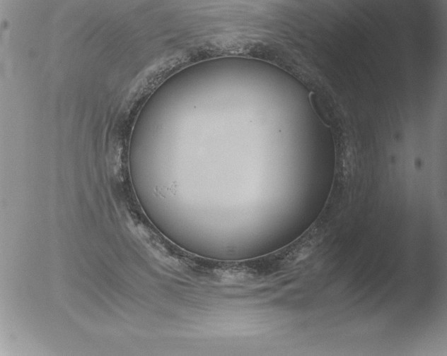 X0000051910693200507082030