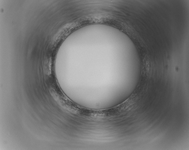 X0000051910694200507082030