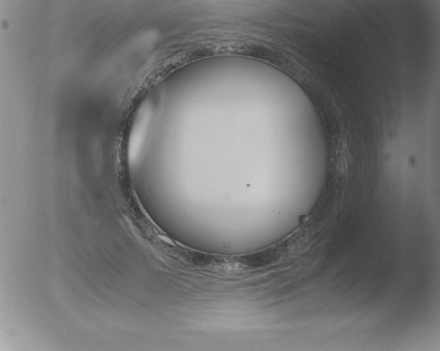 X0000051910695200507082030