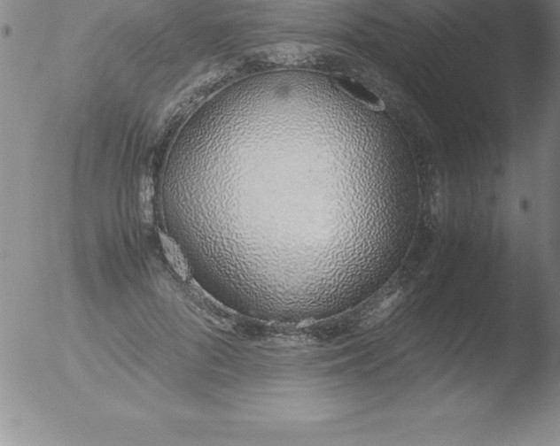 X0000051910696200507082030