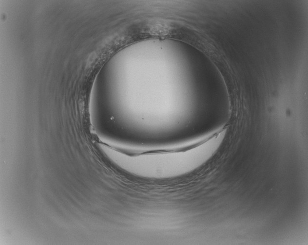 X0000051910697200507082030