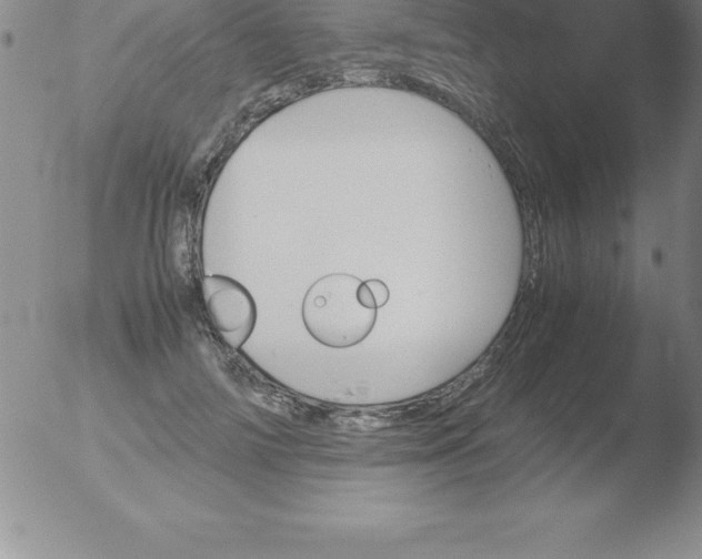 X0000051910698200507082030