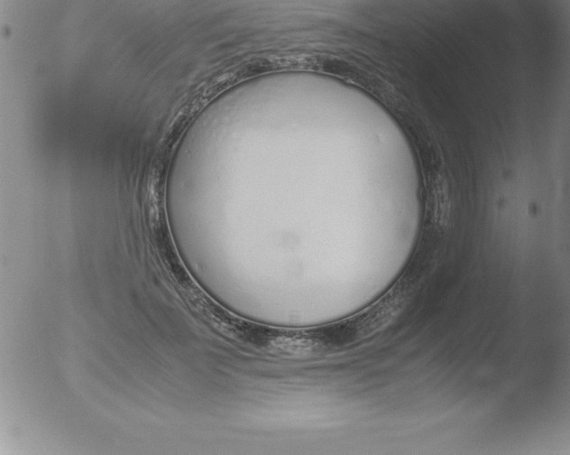 X0000051910699200507082030