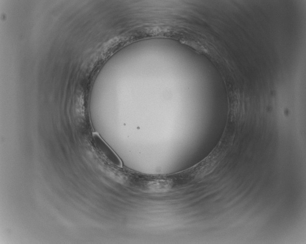 X0000051910700200507082030