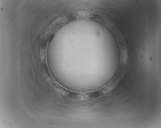 X0000051910701200507082030