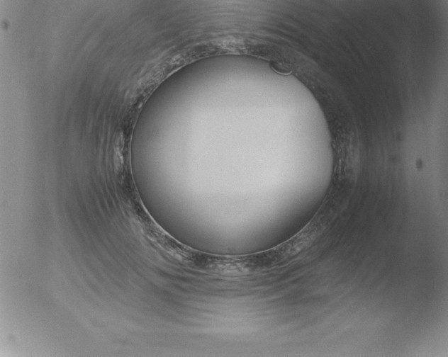 X0000051910702200507082030