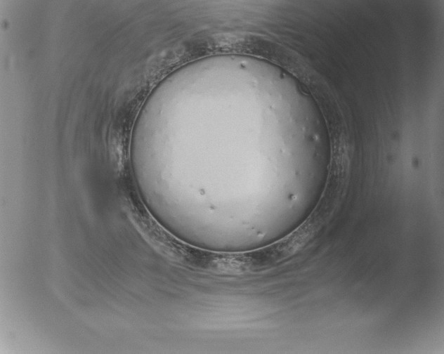 X0000051910703200507082030