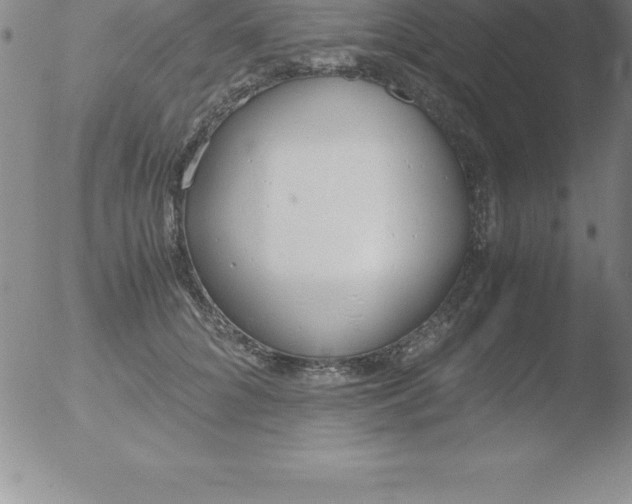 X0000051910704200507082030