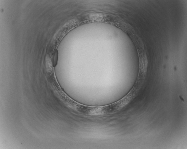 X0000051910705200507082030