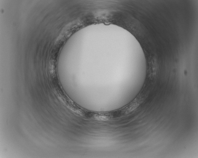 X0000051910706200507082030