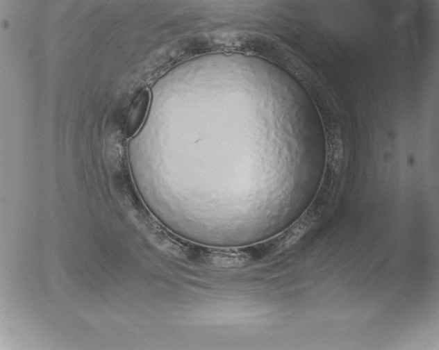 X0000051910707200507082030