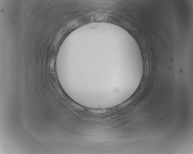 X0000051910709200507082030