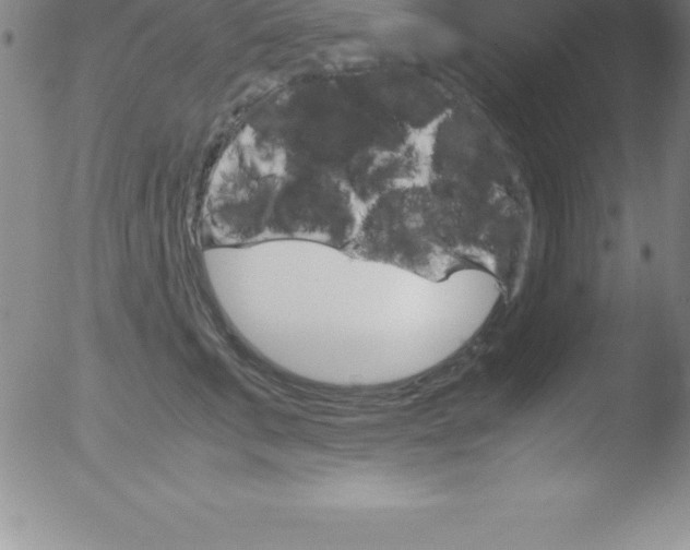 X0000051910711200507082029