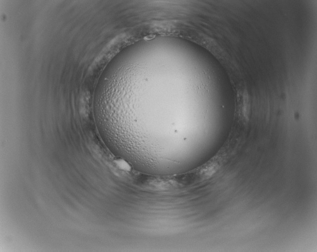 X0000051910712200507082029