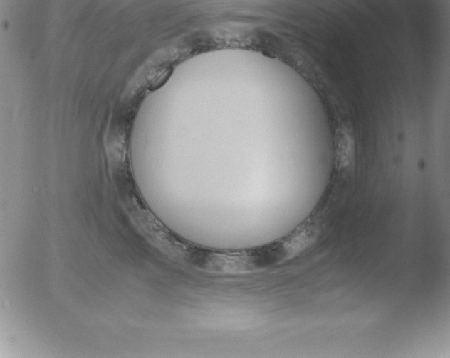 X0000051910713200507082029