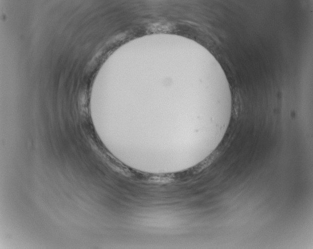 X0000051910714200507082029