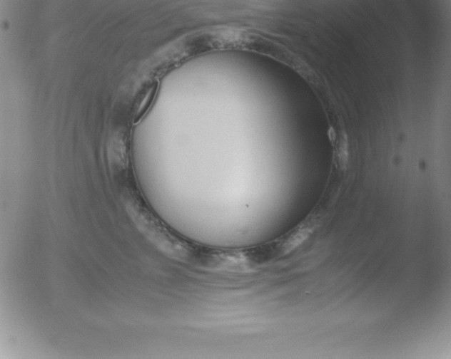 X0000051910715200507082029