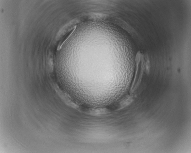 X0000051910716200507082029