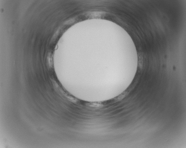 X0000051910718200507082029