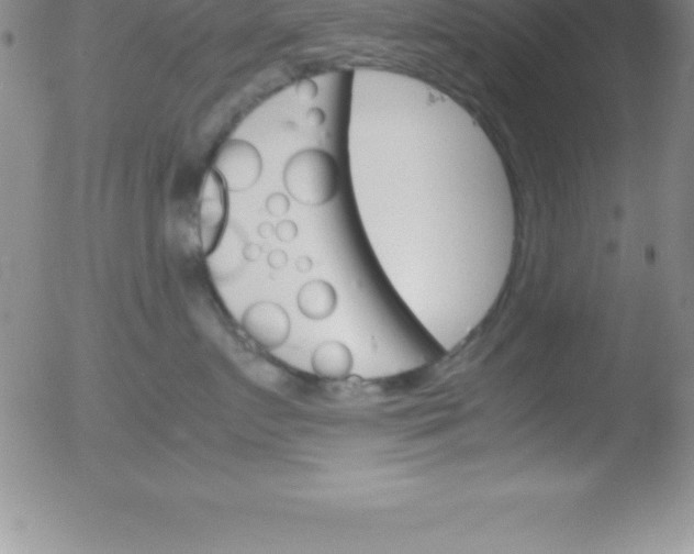 X0000051910719200507082029