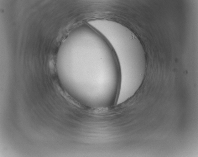 X0000051910720200507082029