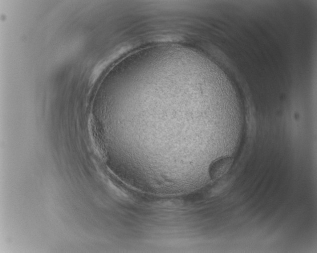 X0000051910721200507082029