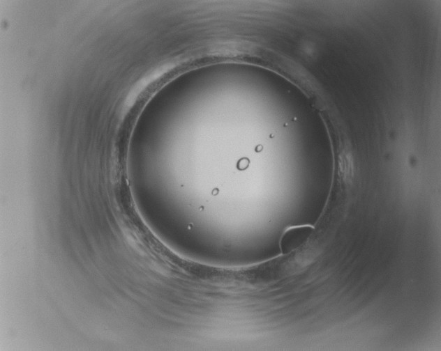 X0000051910724200507082029