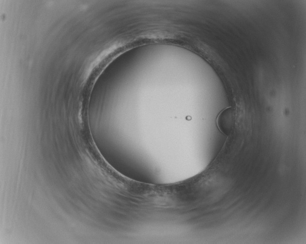 X0000051910727200507082029