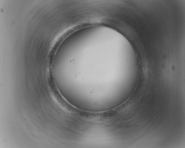 X0000051910728200507082029