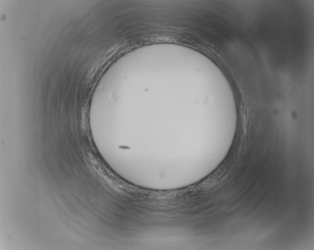 X0000051910729200507082029