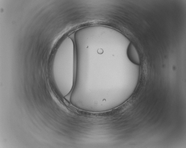 X0000051910730200507082029