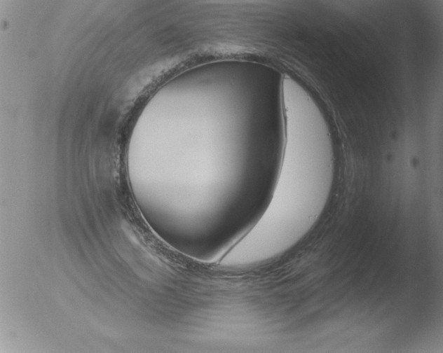 X0000051910732200507082029