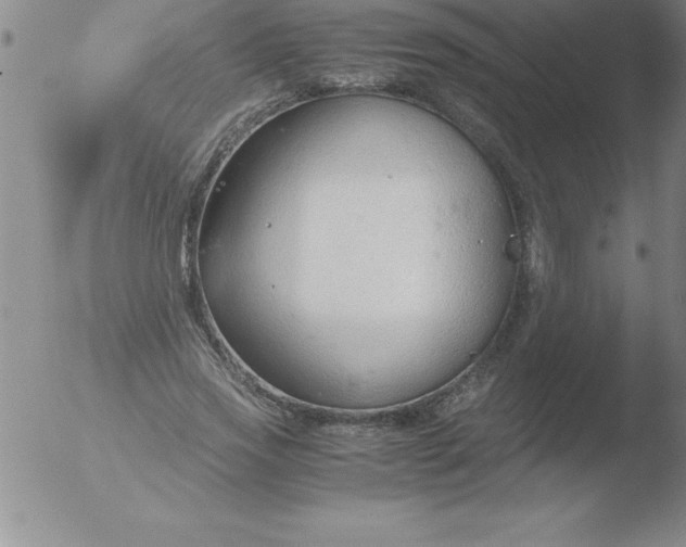 X0000051910733200507082029