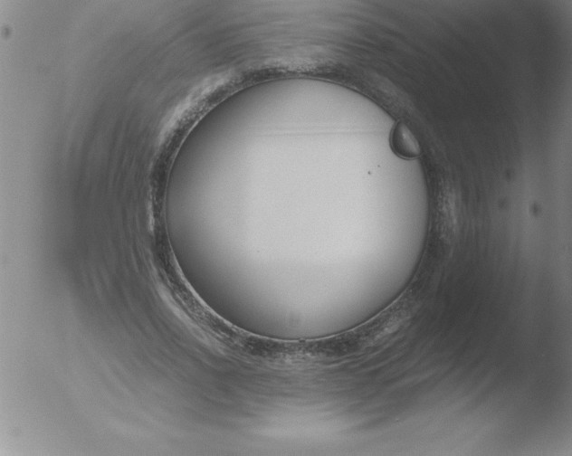 X0000051910734200507082029