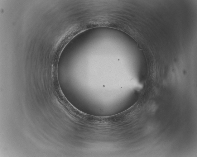 X0000051910735200507082029