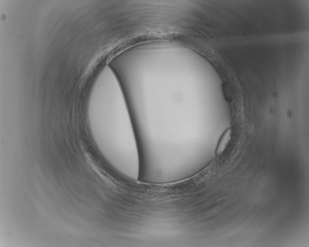 X0000051910736200507082029