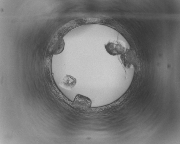 X0000051910737200507082029