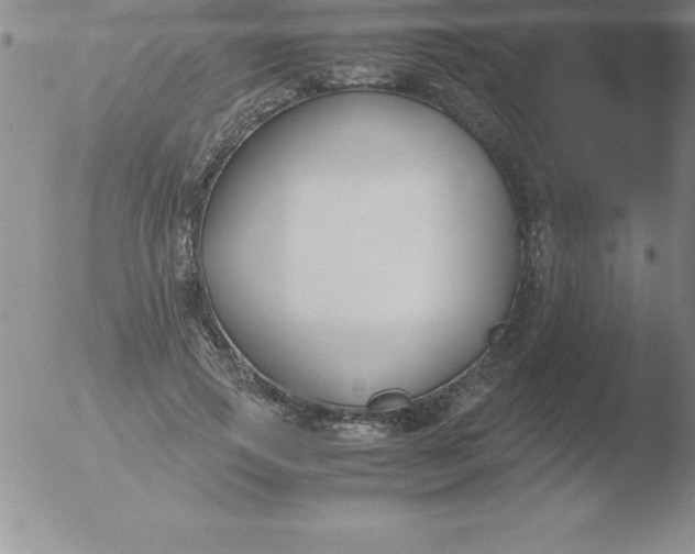 X0000051910741200507082029