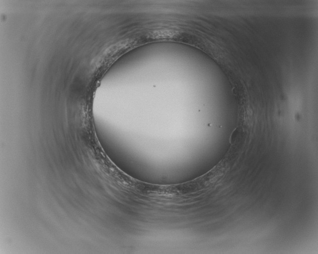 X0000051910743200507082029